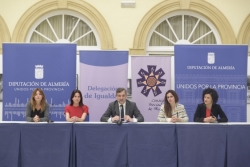 Las ocho diputaciones andaluzas consensúan las políticas de Igualdad del próximo trimestre