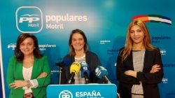 El PP solicita el arreglo de las calles Domingo Cuesta y Ernesto Mira