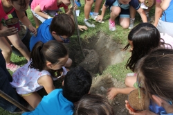300 escolares de Motril participan en una plantación en el Parque de los Pueblos de América con motivo del Día Mundial del Medio Ambiente