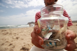 Gran limpieza de playa y fondos marinos en Salobreña y las zonas protegidas (ZEC) del Tesorillo y La Caleta