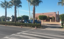 La concejalía de Parques y Jardines continúa con el plan especial de poda de palmeras y árboles en calles y avenidas de la ciudad