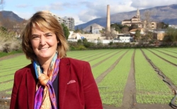 El PP anuncia que si no se limpian las ramblas esta semana llevará a la Junta de Andalucía a la Fiscalía