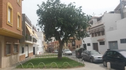 El Ayuntamiento acometerá obras de mejora en la Rambla del Carmen con cargo al PFEA