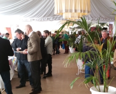 CON 15 ESTABLECIMIENTOS YA REFORMADOS, LOS EMPRESARIOS DE CHIRINGUITOS CELEBRAN SU ENCUENTRO ANUAL EL LUNES 16 DE ENERO.