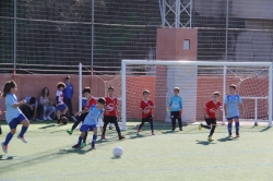 Actividades deportivas federadas en Almuñécar del 03 al 05 de Febrero 2017