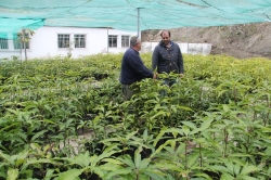 Almuñécar mejora la finca experimental El Zahorí con ayuda del PFEA