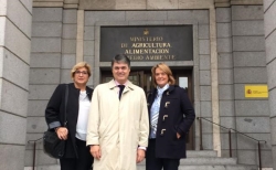 El PP se congratula de la apuesta del Gobierno Central para poner en marcha los espigones de la costa