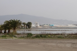 El Ayuntamiento trabaja en la reparación de los daños causados por el temporal de levante