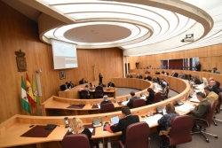 El pleno de la Diputación acuerda por unanimidad reclamar la línea Caparacena-Baza-La Ribina