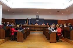 El Pleno aprueba la modificación de la forma de gestión del servicio público de grúa y el inicio de la licitación del contrato