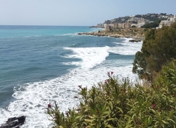 Ciudadanos Almuñécar-La Herradura lamenta que, un año más, el equipo de gobierno fracase en la obtención de Bandera Azul para las playas del municipio