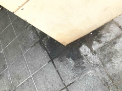 Ciudadanos Motril solicita una “actuación urgente” para acabar con la suciedad de las calles y la creación de un Plan de Limpieza Municipal