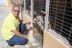 El Ayuntamiento inicia una campaña de concienciación y adopción de mascotas del albergue municipal