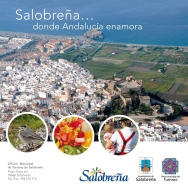 EL BALANCE DE TURISMO EN SALOBREÑA ARROJA UN AUMENTO DEL INTERÉS DE LOS VISITANTES POR LAS ACTIVIDADES ALTERNATIVAS DE OCIO Y CULTURA