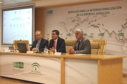 UNA TREINTENA DE FIRMAS ANDALUZAS PARTICIPAN EN UNA JORNADA SOBRE OPORTUNIDADES DE NEGOCIO EN BRASIL ORGANIZADA POR EXTENDA