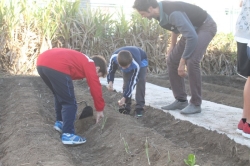 ALUMNOS DE PRIMARIA PONEN EN MARCHA UN HUERTO ESCOLAR Y UNA COMPOSTERA