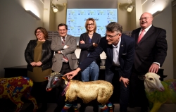 Diputación muestra su apoyo a la promoción y difusión del cordero segureño