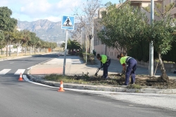 MEDIO AMBIENTE MEJORA LAS ZONAS VERDES  DEL VIAL DE LA PLAYA