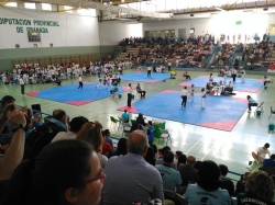La Ciudad Deportiva acoge la 34 edición del Trofeo Corpus Diputación de Granada