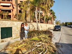 El Partido Popular pide mejoras para Playa Granada