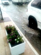 Ciudadanos exige explicaciones sobre las inundaciones en Almuñécar y La Herradura en zonas recién rehabilitadas