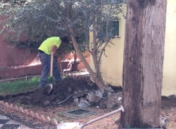 Almuñécar realiza trabajos de mejora y conservación en los jardines del Palacete La Najarra