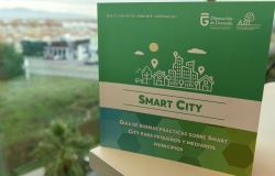 Una guía de buenas prácticas para “Ciudades Inteligentes”