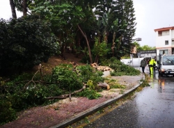 Hasta media docena de incidencias han atendido los Bomberos de Almuñécar este viernes por el viento y la lluvia