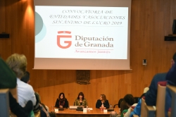 Diputación destina 415.000 euros a proyectos de entidades y asociaciones sin ánimo de lucro de la provincia