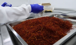 Triselecta comercializa nueve toneladas de azafrán anuales en los mercados internacionales