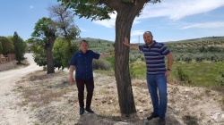 Ventas de Huelma y Cúllar Vega sellan un hermanamiento medioambiental