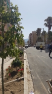La apertura total de la calle Ancha se retrasa una semana y se abrirá gradualmente para los peatones