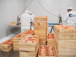 Mariscos Méndez comercializa sus productos a clientes Premium de EE.UU. a China