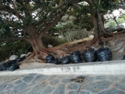 Medio ambiente lleva a cabo un plan integral de limpieza y adecuación de los parques infantiles
