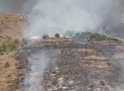 Varias hectáreas de monte, subtropicales y almendros junto con el trastero de un cortijo ha alcanzado el fuego en el Barranco La Golondrina en los mun