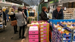 CASI UNA DECENA EMPRESAS ANDALUZAS HORTOFRUTÍCOLAS BUSCAN NEGOCIO EN UNA MISIÓN COMERCIAL A FRANCIA DE LA MANO DE EXTENDA