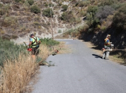 El Consistorio sexitano trabaja a la limpieza y desbroce del Camino de Río Jate