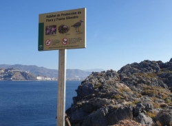 Ayuntamiento sexitano y Junta señalizan zonas de la Costa de Almuñécar protegidas por su flora y fauna