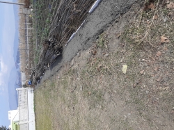 El Parque de la Fuente reabrirá a finales de noviembre tras la construcción de un muro y una poda radical para evitar la entrada de roedores