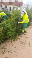 El Ayuntamiento de Motril amplia el contrato de mantenimiento de las zonas verdes y arbolado viario del municipio