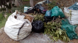 El área de Medio Ambiente recuerda que está prohibida la quema de residuos vegetales en zonas urbanas y urbanizables