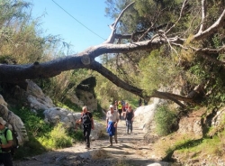 Una veintena de senderistas de Almuñécar recorrieron la ruta del Paraje Natural de Cerro Gordo – Maro