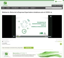 Más de 200 empresas andaluzas analizan los retos del sector exterior ante el Covid-19 a través de un webinario de Extenda