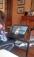 El Centro Provincial de Drogodependencias de Diputación mantiene su servicio de forma telefónica