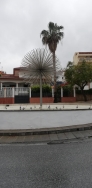 El Ayuntamiento de Motril apaga los alumbrados ornamentales de edificios  y fuentes durante el confinamiento
