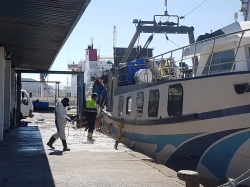 El Ayuntamiento de Motril pone en marcha un operativo de limpieza y desinfección en el puerto pesquero