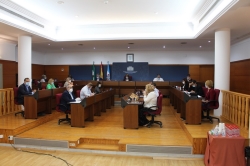 El Pleno del Ayuntamiento aprueba la creación del Consejo Local de Comercio de Motril para reactivar el sector