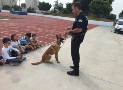 La Patrulla Canina de la Policía Local de Almuñécar realiza 35 decomisos de estupefacientes desde el inicio de estado de alama