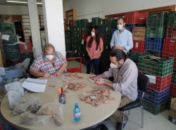 El Ayuntamiento de Almuñécar realiza inventario documental y gráfico de miles de piezas arqueológicas