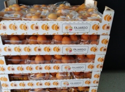 El Ayuntamiento de Almuñécar agradece a Frutas Fajardo la donación 1200 kilos de níspolas para los menús sociales
